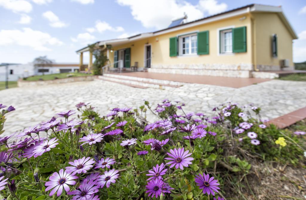 Villa Raimonda Putifigari Exterior foto